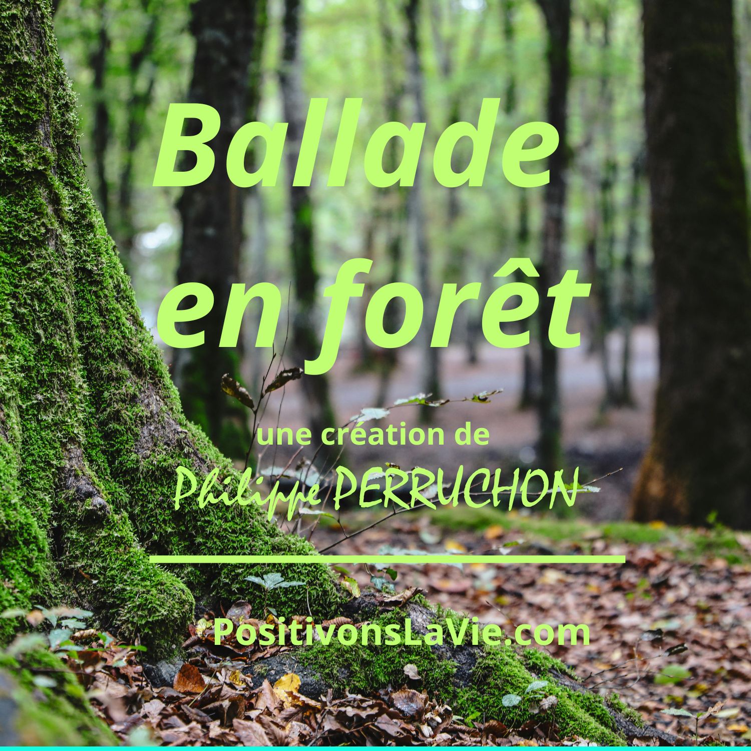 Ballade en forêt